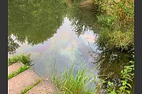 Der Ölfilm auf der Wasseroberfläche ist deutlich zu erkennen. - © Freiwillige Feuerwehr Leopoldshöhe