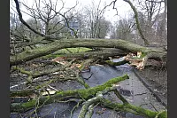 Die Bismarckstraße in Bad Salzuflen war komplett blockiert. - © Henry Poritz