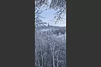 Der Herrmann zeigt sich unbeeindruckt vom Winterwetter um sich herum. - &copy; Anke P&ouml;pper