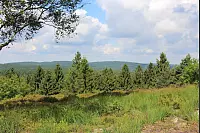Wandern zum Lippischen Velmerstot und am Silberbach entlang. - © Janet König
