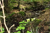 Wandern zum Lippischen Velmerstot und am Silberbach entlang. - © Janet König