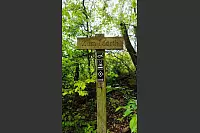 Hoch hinaus im lippischen S&uuml;dosten. - &copy; Silke Buhrmester