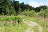 Wandern zum Lippischen Velmerstot und am Silberbach entlang. - © Janet König