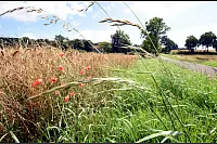 Zwerg-Anton-Tour: Wandern auf den Spuren von Märchen und Sagen. - © Benjamin Möller