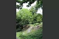 Von den Externsteinen zur Falkenburg. - © Freya Köhring