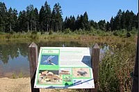 "NaturZeitReise" im Schwalenberger Wald. - © Silke Buhrmester