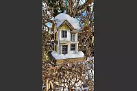 Hier k&ouml;nnen sich V&ouml;gel im Winter st&auml;rken. - &copy; Renate M&ouml;lling-Steinert