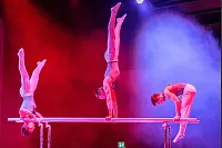 KSB-Sportgala - © Egon Penner