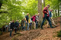 Bilder von der LZ Sternwanderung 2019. - © Torben Gocke