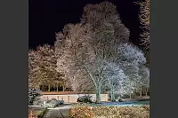 Winter - &copy; Leserfotos