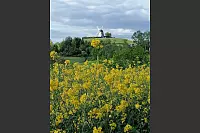 Bei der Maiwanderung von Lemgo Richtung Kalletal entstand dieses Lieblingsfoto. - &copy; Nicole Bornh&uuml;tter