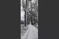 Diese Impression stammt aus dem Extertal. - &copy; Kerstin Rohde