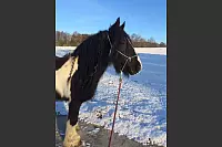 Winter - &copy; Leserfotos