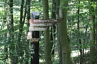 "NaturZeitReise" im Schwalenberger Wald. - © Silke Buhrmester