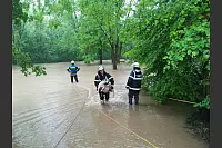 Tierrettung: Die Feuerwehr versucht am Bierweg hinter dem Braker Schloss möglichst viele Schafe aus den Fluten zu fischen. Vermutlich knapp 30 Tiere werden jedoch von den Wassermassen mitgerissen und ertrinken. - © Freiwillige Feuerwehr Lemgo