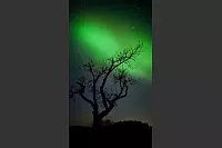 Polarlichter &uuml;ber Extertal, fotografiert von Tanja Kr&uuml;ger. - &copy; Tanja Kr&uuml;ger