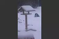 Winter - &copy; Leserfotos