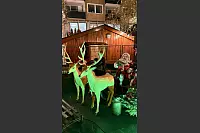 Natürlich darf auch der Weihnachtsmann auf dem Salzufler Markt nicht fehlen. - © Melanie Meyer