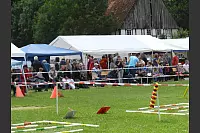 Shetlandponyturnier in Vahlhausen - © Daniela Cremer