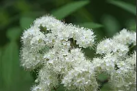 Das war die LZ-Sternwanderung 2018. - © Daniel Hobein