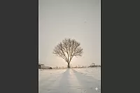 Dieses leuchtende Wintermotiv ist ein Beitrag aus Elbrinxen. - &copy; Yvonne Matthias