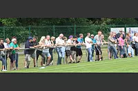 Pokalfinale Post-TSV Detmold - SVE Jerxen-Orbke - © Sebastian Lucas