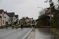 Abgesperrt: An der Lageschen Straße in Detmold musste die Feuerwehr kurzfristig einen maroden Baum fällen. Eine daneben stehende Tanne war zuvor bereits gefallen. Anwohner hatten die Wehr alarmiert. Während der Fäll- und Aufräumarbeiten musste die Straße auf Höhe des Restaurants "Syrtaki" für etwa 30 Minuten in beide Fahrtrichtungen gesperrt werden. - © Yvonne Glandien