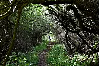 Wie im Märchen: Der Zwerg-Anton-Weg führt durch den Dornröschenwald. - © Benjamin Möller