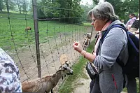 Das war die LZ-Sternwanderung 2018. - © Daniel Hobein