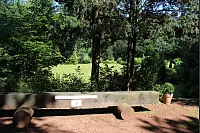 "NaturZeitReise" im Schwalenberger Wald. - © Silke Buhrmester