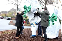 Impressionen von der Eröffnung des Karneval-Kreisverkehrs in Steinheim. - © Madita Schellenberg