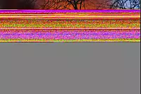 Die Feuerwehr rückte zu einem Großbrand in Bielefeld-Altenhagen aus. - © Paul Brinkmann