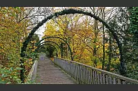 Goldener Herbst in Lippe - © Martin Düsterberg