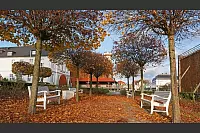 Goldener Herbst in Lippe - © Martin Düsterberg