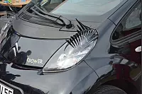 WAVE-TROPHY 2016 - Größte E-Automobilrallye tankt in Dörentrup auf.
Weltrekord mit den meisten zeitgleich aufgeladenen Elektrofahrzeugen mit erneuerbaren Energien geschafft. Viele verschiedene E-Fahrzeuge wurden präsentiert. - © Tanja Watermann