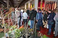 Garten- und Lebensart-Messe, Foto Heidi Stork