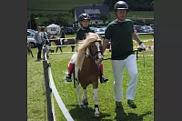 Shetlandponyturnier in Vahlhausen - © Daniela Cremer