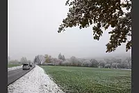 Auf der Straße zwischen Fissenknick und Diestelbruch. - © Freya Köhring