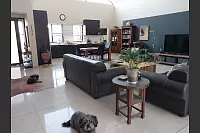 Auch die beiden Hunde fühlen sich im klimatisierten Wohnzimmer wohl - © Anna Brett