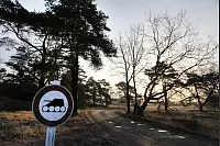Auf dem Truppenübungsplatz in der Senne - © Vera Gerstendorf-Welle
