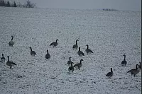 Winter - &copy; Leserfotos