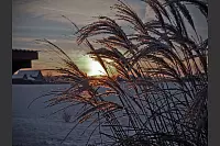 Winter - &copy; Leserfotos