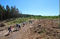 Am zweiten Tag ging es für die 17-köpfige Wandergruppe von Bad Driburg nach Kleineberg (Lichtenau). - © Niklas Böhmer