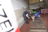 In einer Lkw-Garage gibt es einen Übungsparcours für die Ausbildung der belgischen Schäferhunde. Hier zeigt Marcel Flügel Ares, was er machen soll. - © Uwe Müller