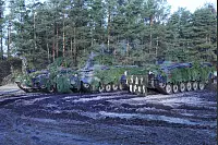 Mit Tanne bestückte Panzer - © Vera Gerstendorf-Welle