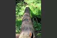 Wandern zum Lippischen Velmerstot und am Silberbach entlang. - © Janet König