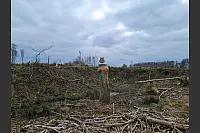 Lipperlandweg - &copy; Silke Buhrmester(LZ)