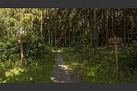 Familienwanderweg Hörste - © Torben Gocke