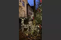 Auch "Rentiere" machen beim Adventsglanz in Bad Salzuflen mit. - © Melanie Meyer