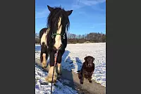 Winter - &copy; Leserfotos